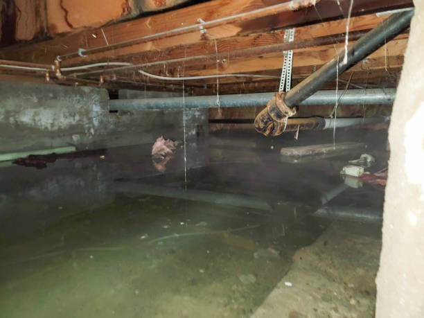 Best Water damage restoration company  in Santa Clarita, CA