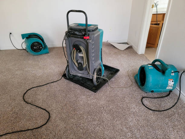 Best Flood damage cleanup  in Santa Clarita, CA