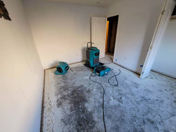 Best Residential water damage restoration  in Santa Clarita, CA