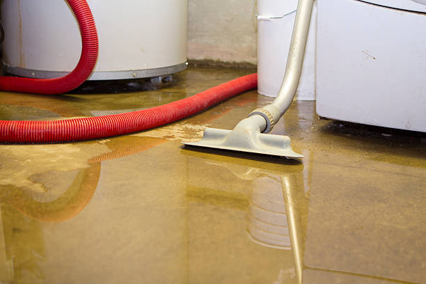 Professional Water damage restoration in CA